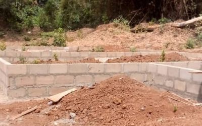 Abompe embarks on economic transformation journey through poultry business